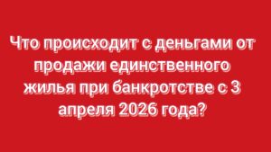 🏠 Что происходит с деньгами от продажи единственного жилья при банкротстве с 3 апреля 2026 года?!